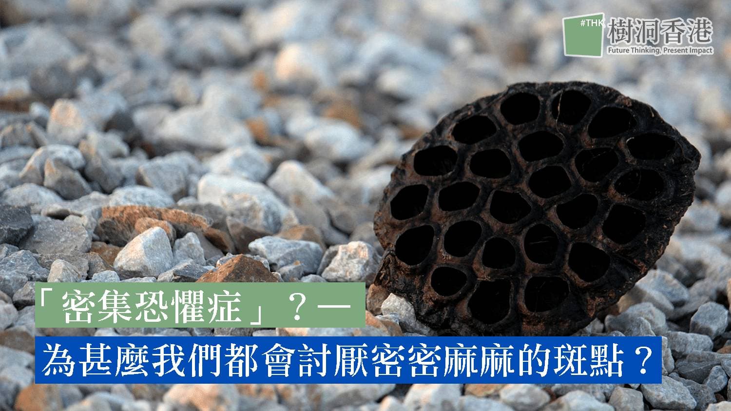 「密集恐懼症」？—為甚麼我們都會討厭密密麻麻的斑點？