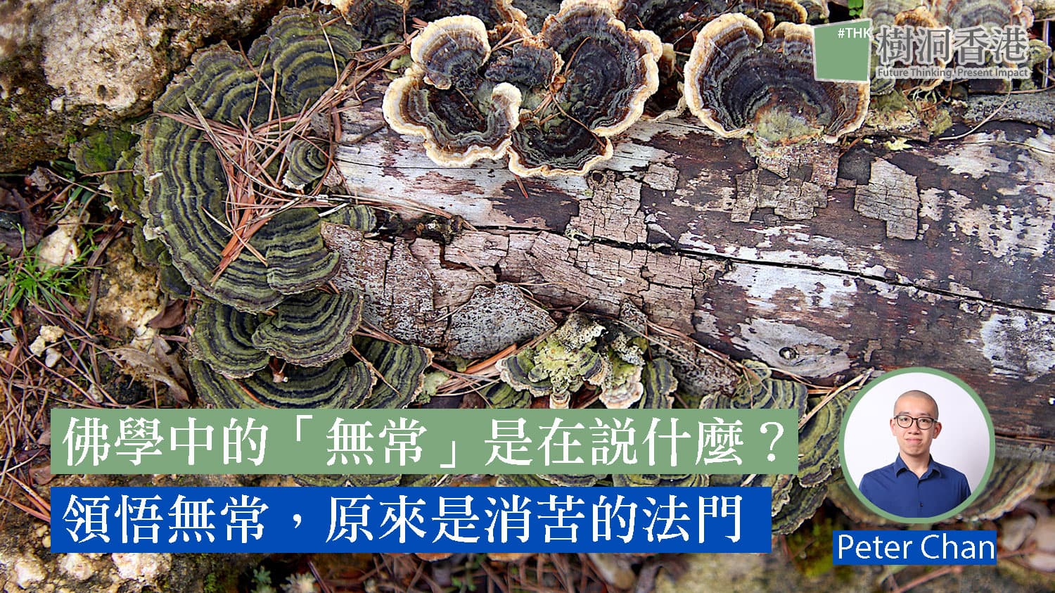 佛學中的「無常」是在說什麼？領悟無常，原來是消苦的法門