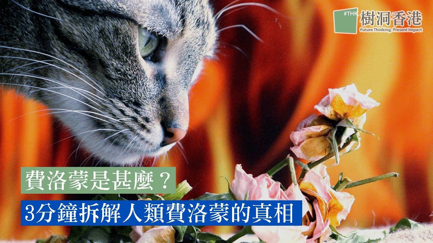 費洛蒙是甚麼？3分鐘拆解人類費洛蒙的真相