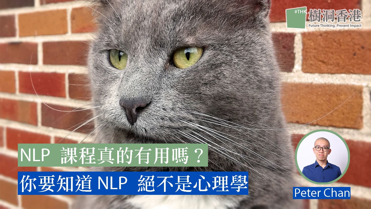 NLP 課程真的有用嗎?你要知道 NLP 絕不是心理學