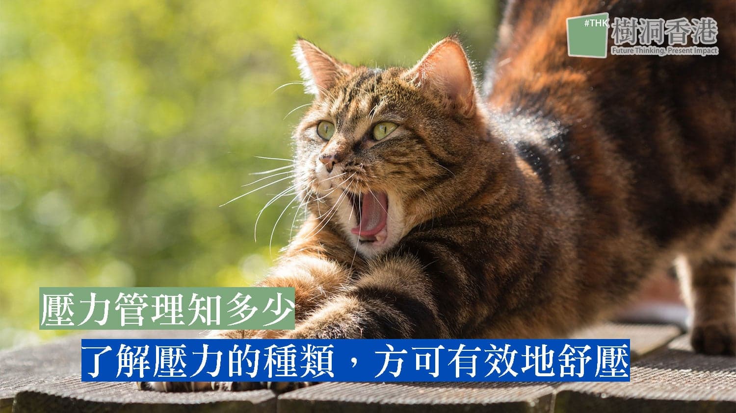 壓力管理