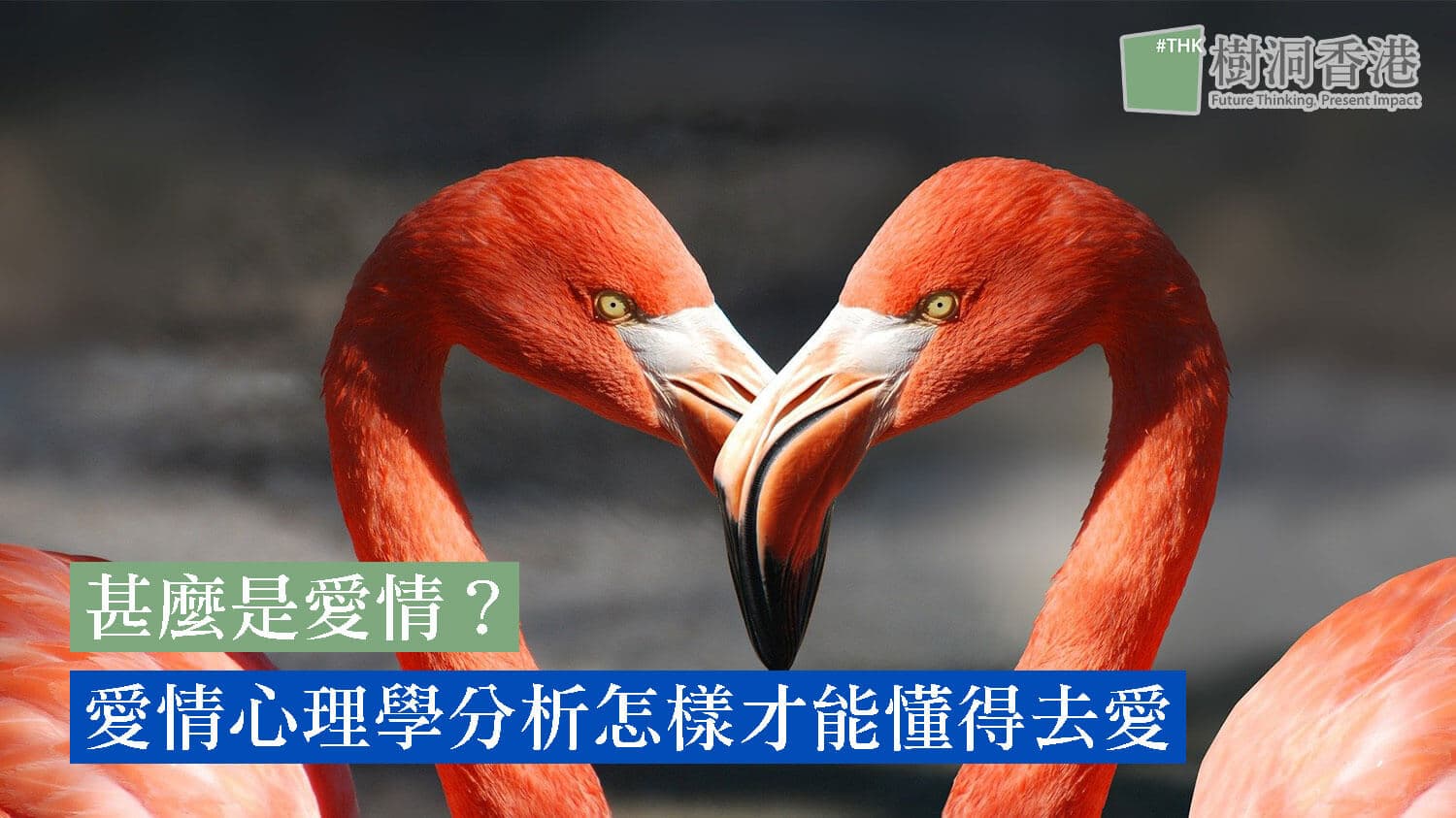 甚麼是愛情?愛情心理學分析怎樣才能懂得去愛