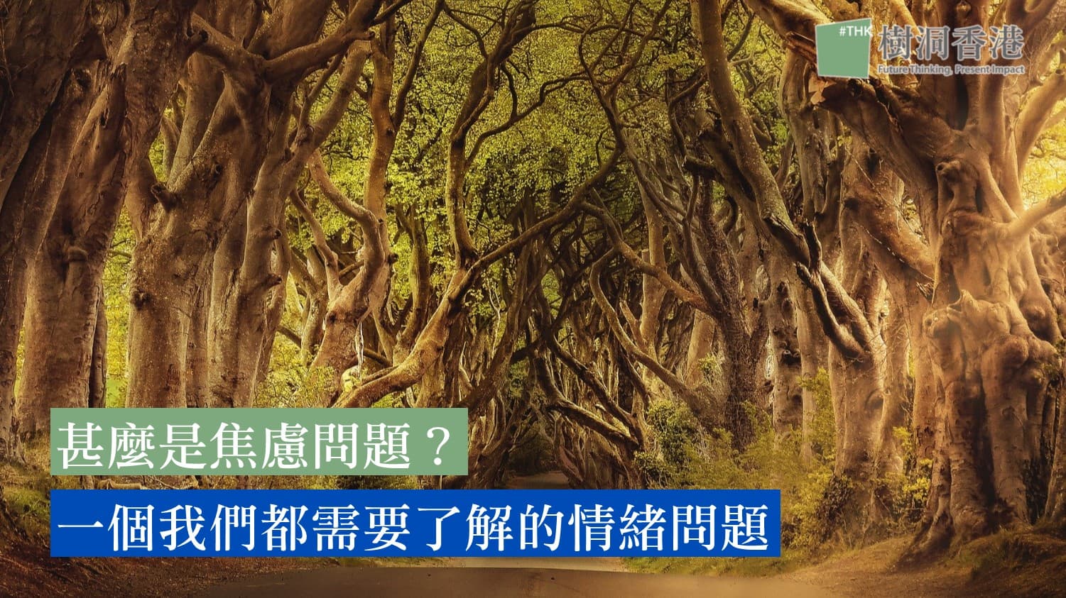 甚麼是焦慮問題?一個我們都需要了解的情緒問題