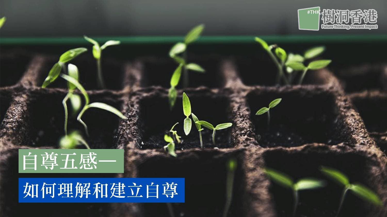 自尊五感—如何理解和建立自尊