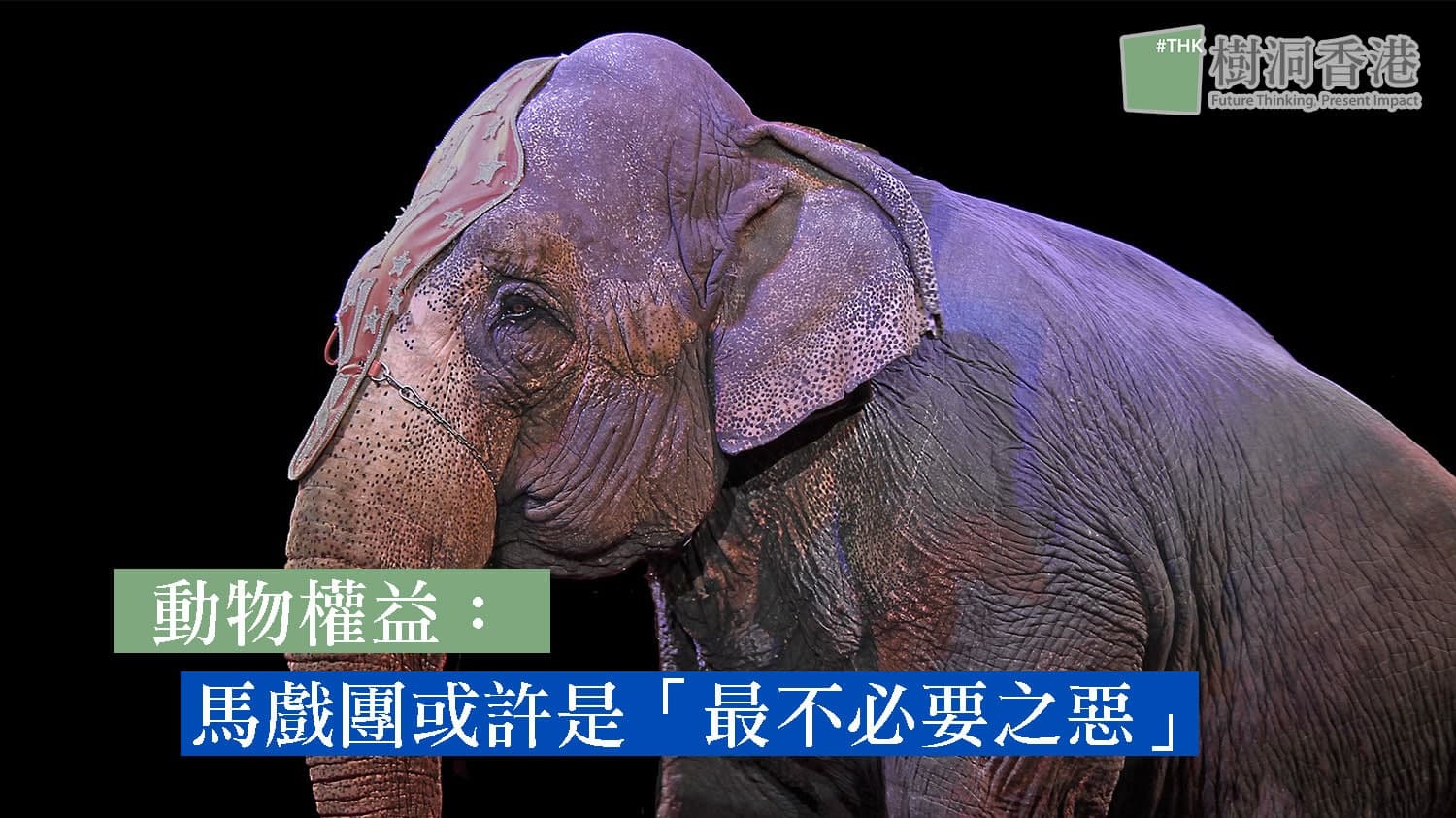 動物權益:馬戲團或許是「最不必要之惡」