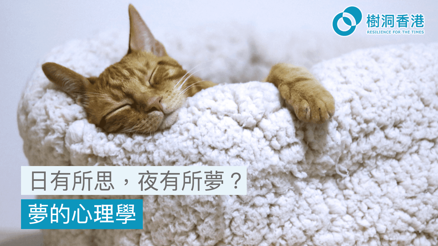 解夢心理學|日有所思,夜有所夢?